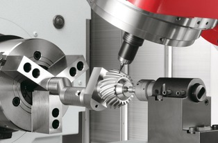 King Charles Cavalier