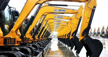 Staffordshire Bull Terrier